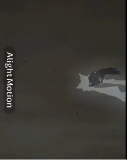 Free Madara Edit