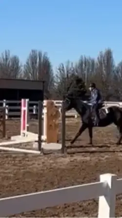 THAT SAVE