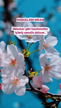 nisan bahar şablonu