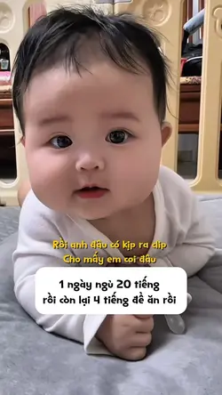 Anh lu bu lắm 