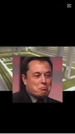 Elon musk car