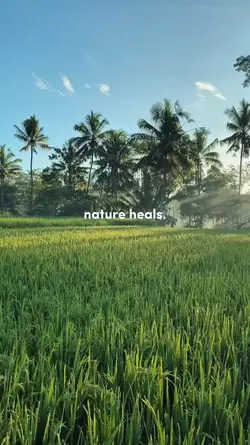 nature heals