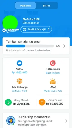 Fake profil dana 