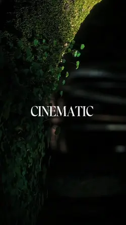 CINEMATIC
