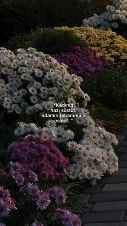 Kadının nazı süstür