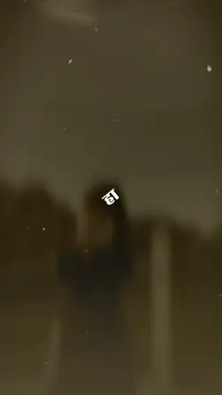 Capcut 
