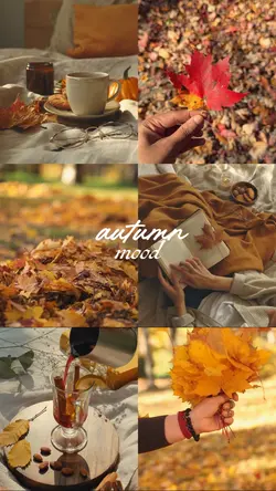 autumn mood