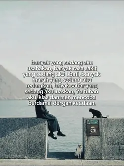 Story wa
