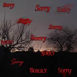 Sorry sorry sorry...