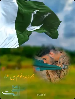 14 August trending 