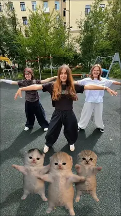 CUTE KITTEN DANCE 
