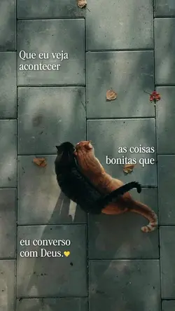 o que eu converso 