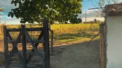 Fazenda