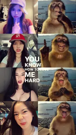 monkey pose trend