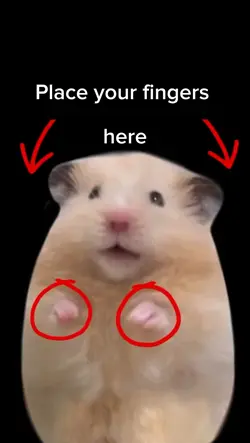 funny meme template 