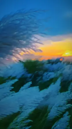 Slowmotion video 🩵✨