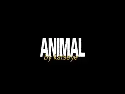 animal katseye