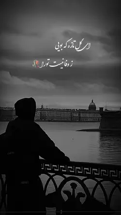 Voice Farabi
