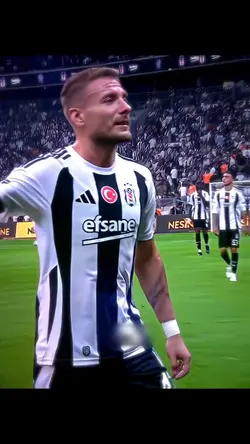 Džeko Free Edit
