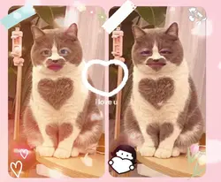Hee W/Koko<3