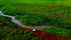 tilt-shift lensa 2