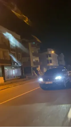 Öpücüklü areon
