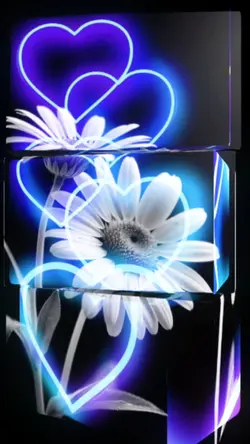 neon overlay liebe