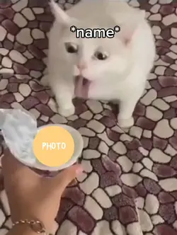 mem 