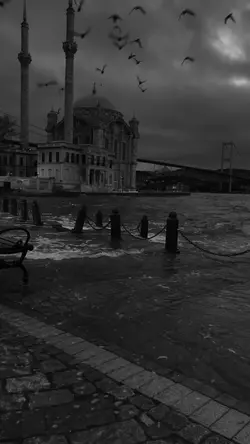Slowmo şablon