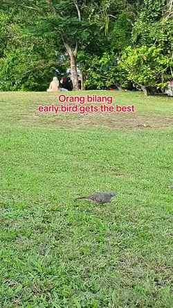 Rezeki burung