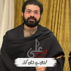 shahadat imam Ali 19