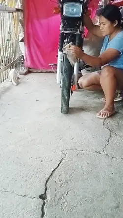 cleaning