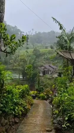 suasana desa