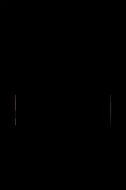 capcut new video