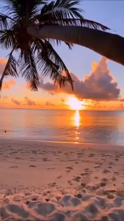 ocean
