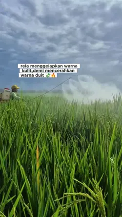 story anak petani 