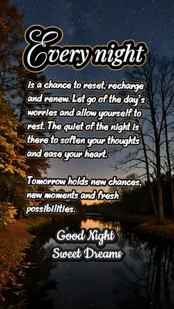 Good Night 