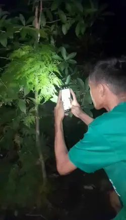newvlogger 