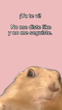 YA TE VI! 