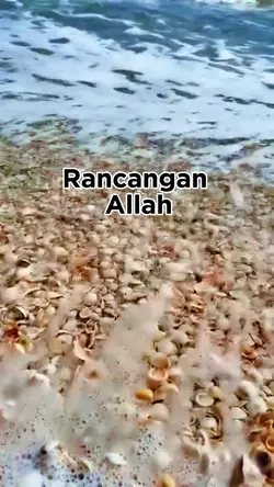 Ain_1308🦋