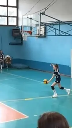volleyball 