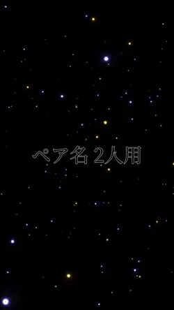 ペア 2人用  ／    📸 2枚
