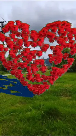 Rose blend image