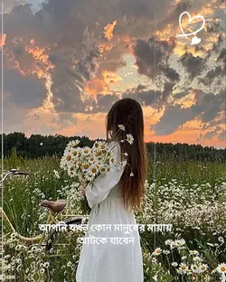 ভালো বাসার মায়া 