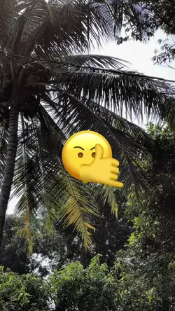 Trend Emote Velocity