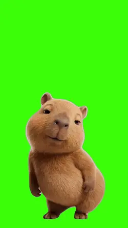 Capybara/Capivara.