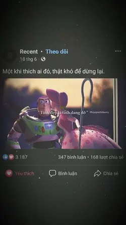 CẨM TÚ CẦU