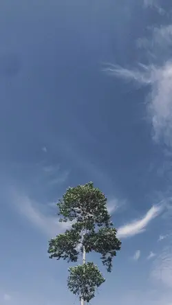 versi butiran