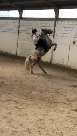 PAS MOI 