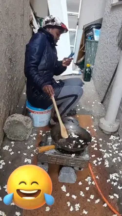 funny videos 